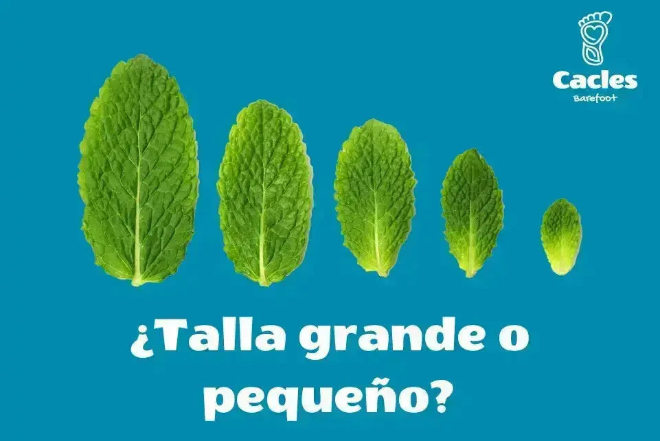 ¿Talla pequeño o talla grande? - Cacles Barefoot