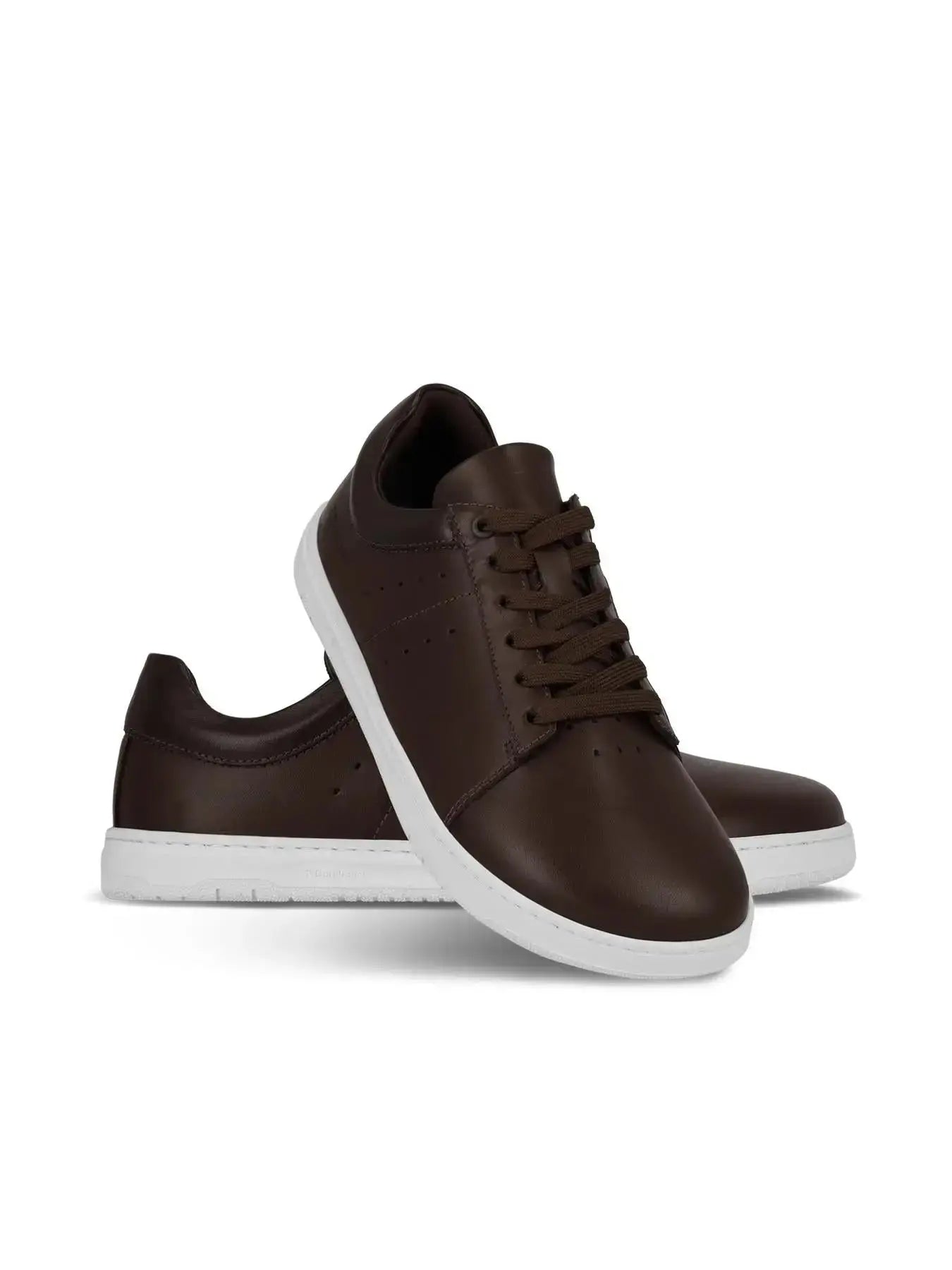 Barebarics - Enigma Dark Brown - Zapatillas barefoot