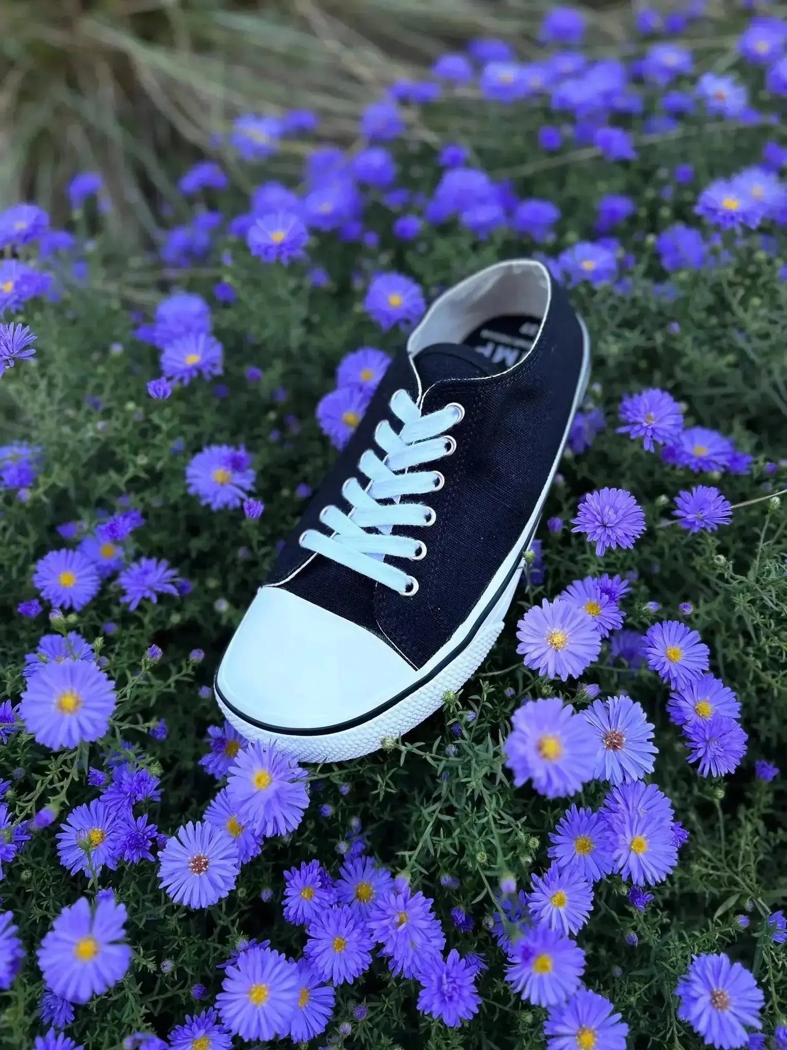 Bohempia - Herlik Noir & Blanc - Chaussures barefoot