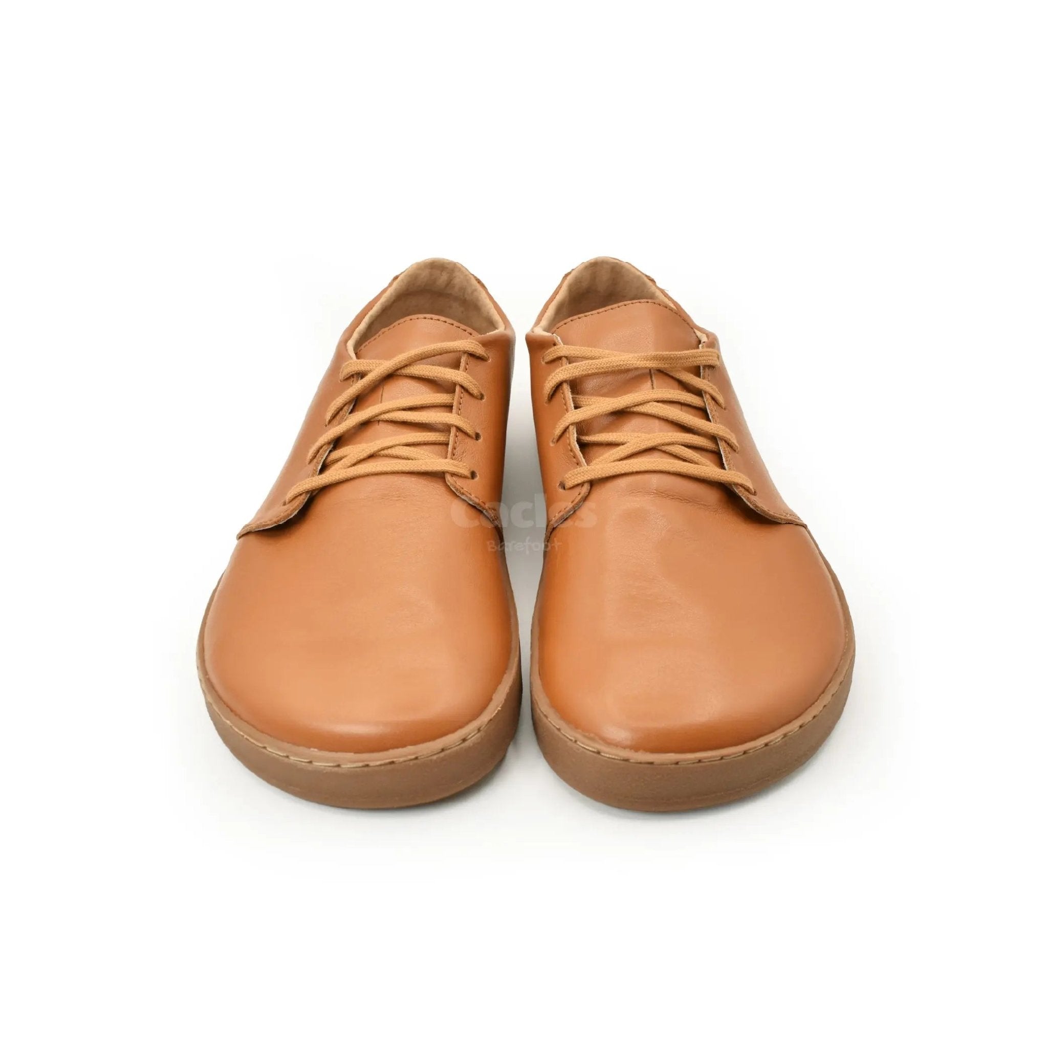 Pegres - BF81 0.1 brown - zapatos minimalistas adulto