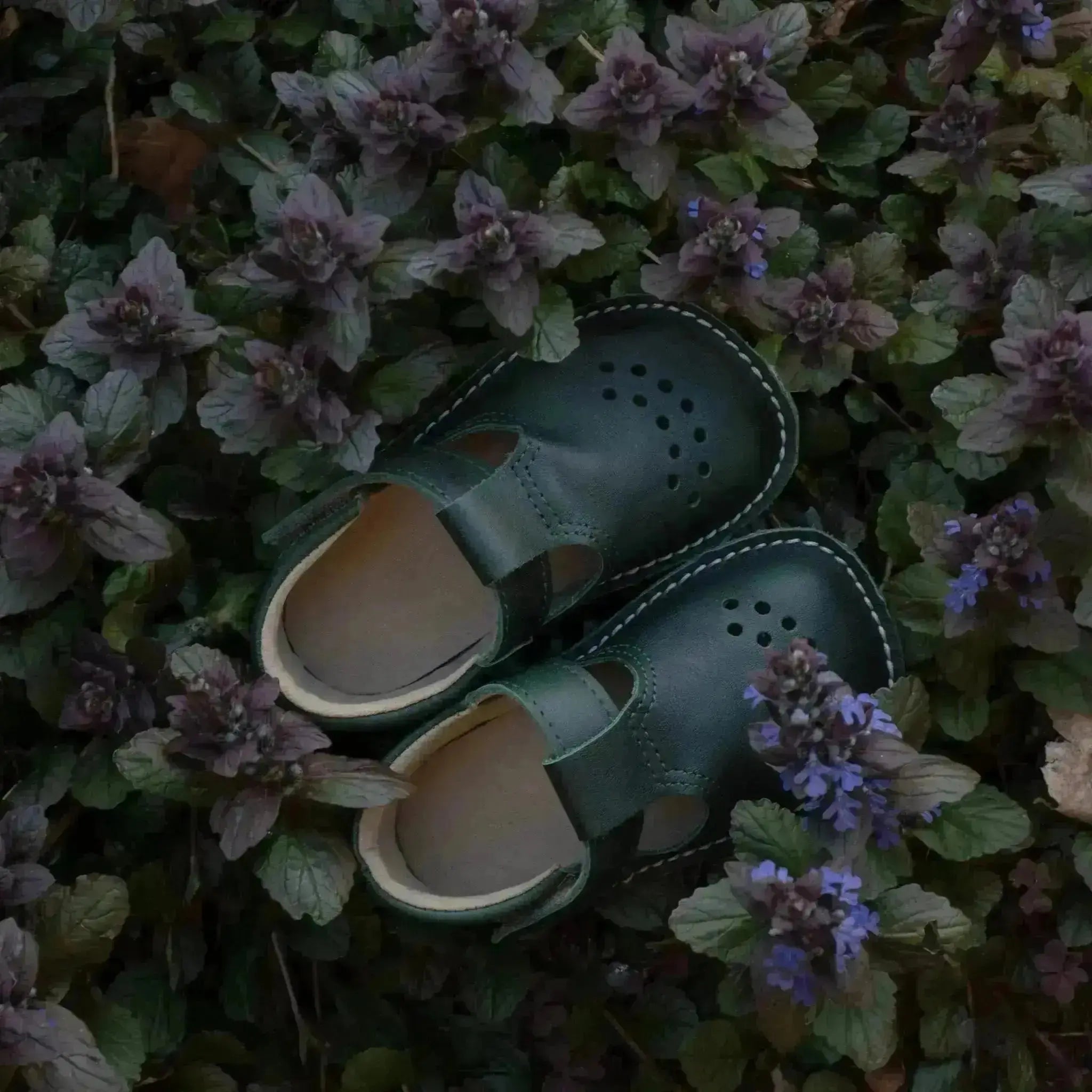 OmaKing - Lusti Green - zapatitos respetuosos de primeros pasos verdes