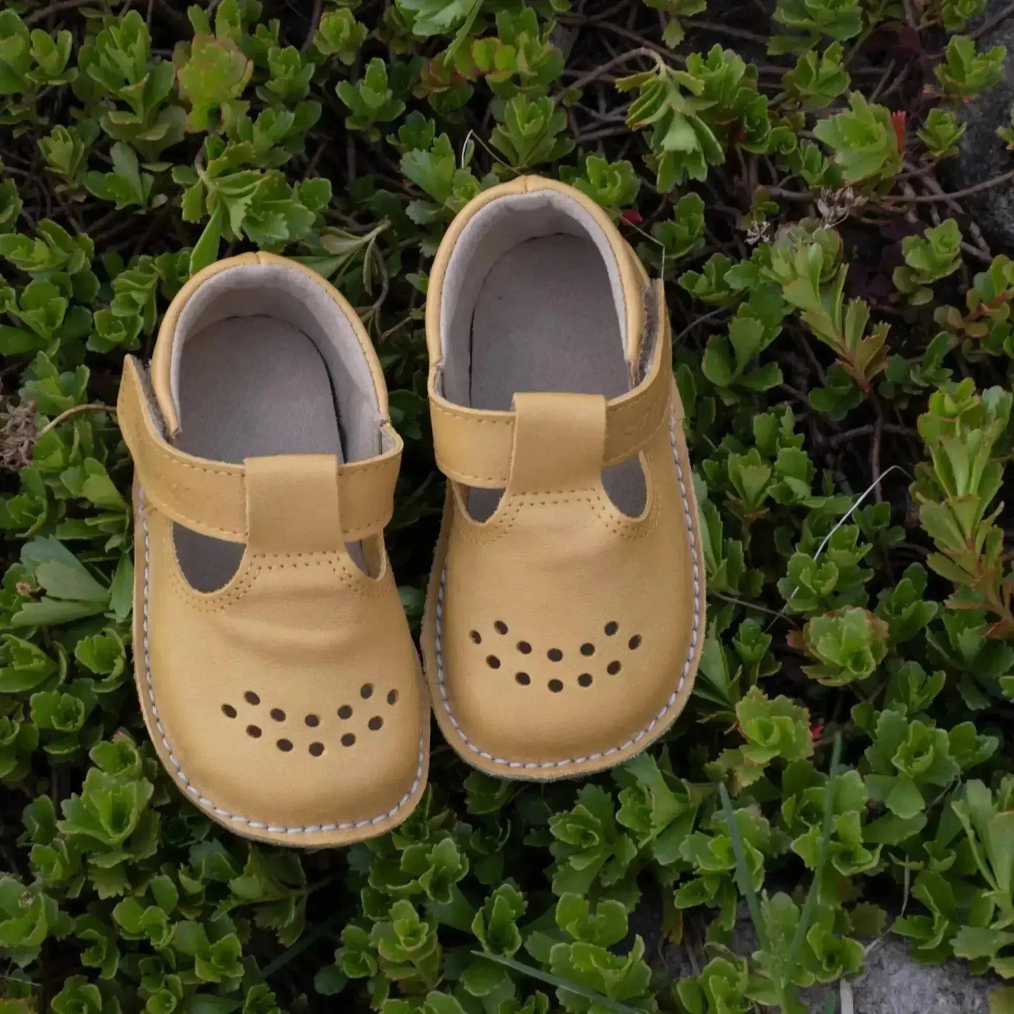 OmaKing - Lusti Yellow - zapatitos respetuosos de primeros pasos amarillo