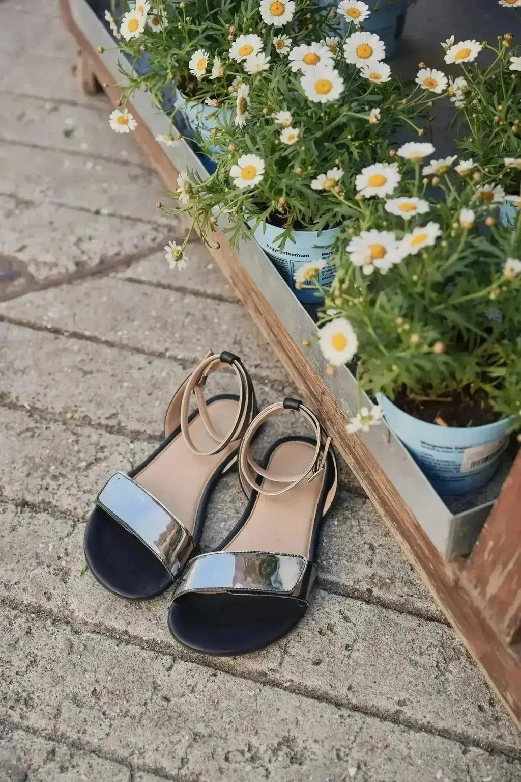 Shapen - Daisy 2.0 Black - Sandalias barefoot negras para mujer
