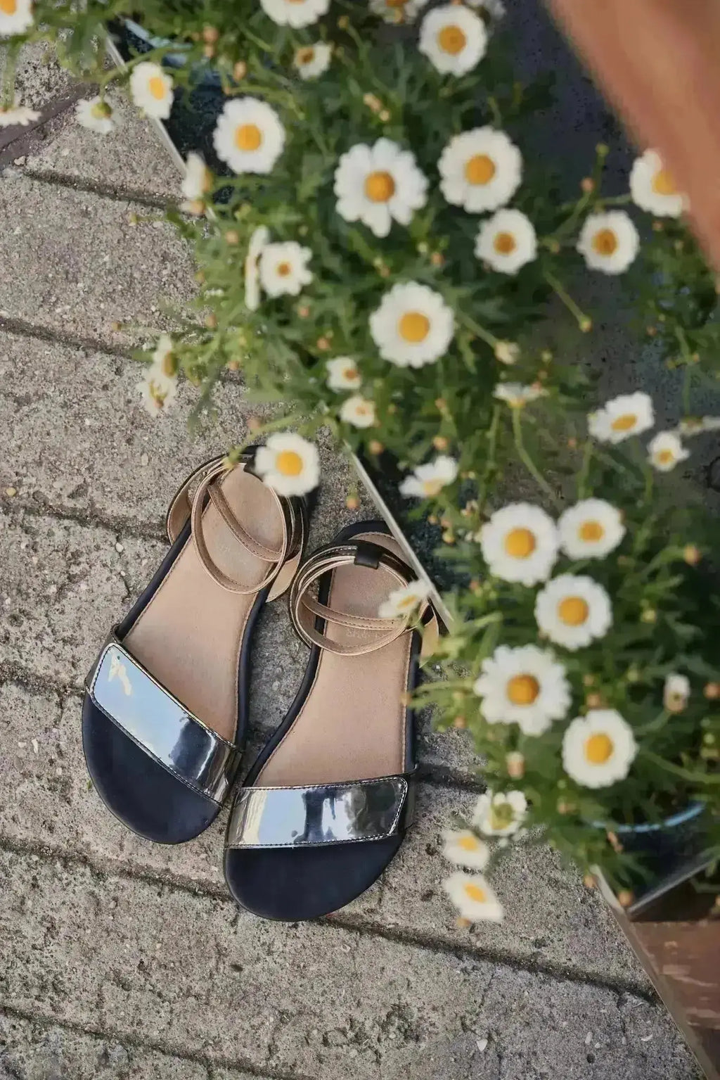 Shapen - Daisy 2.0 Black - Sandalias barefoot negras para mujer